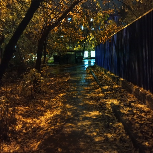Photo #14232443