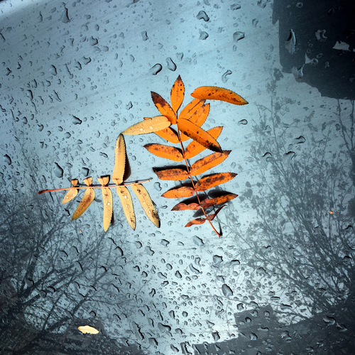 Photo #14232493
