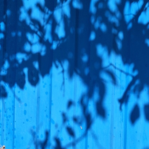 Photo #14232513