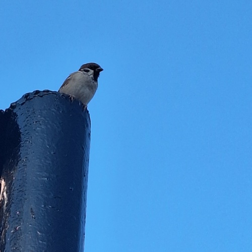 Photo #14232515