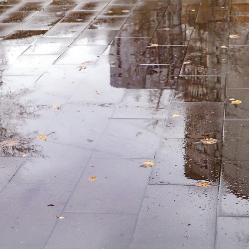 Photo #14232562