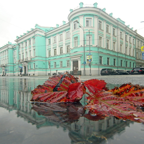 Фотография #14232611