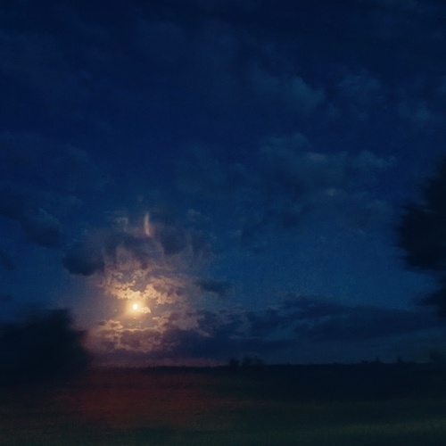 Photo #14232758