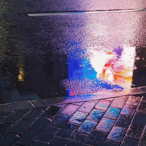 Photo #14232791