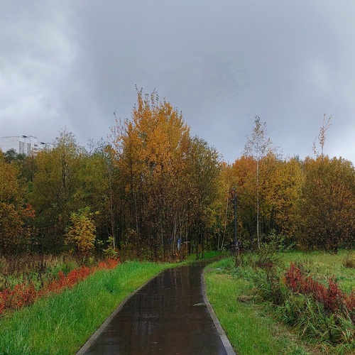 Photo #14232797