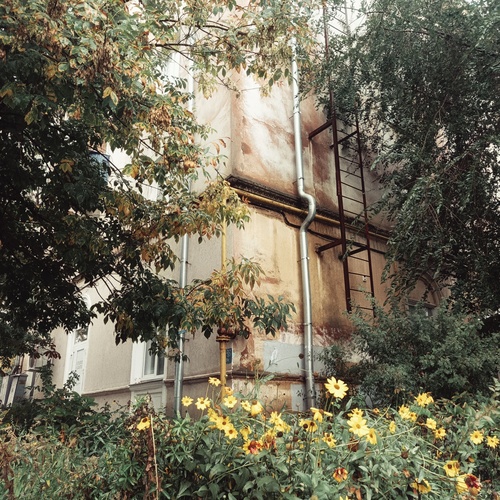 Photo #14232828
