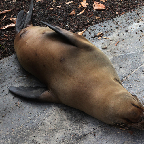 Photo #14232898