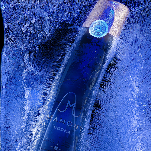Photo #14232942