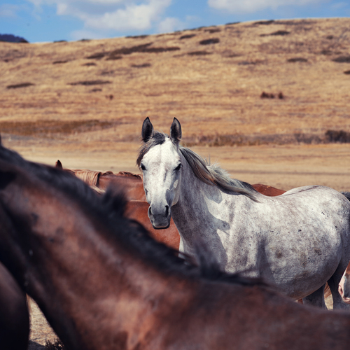 Photo #14233299