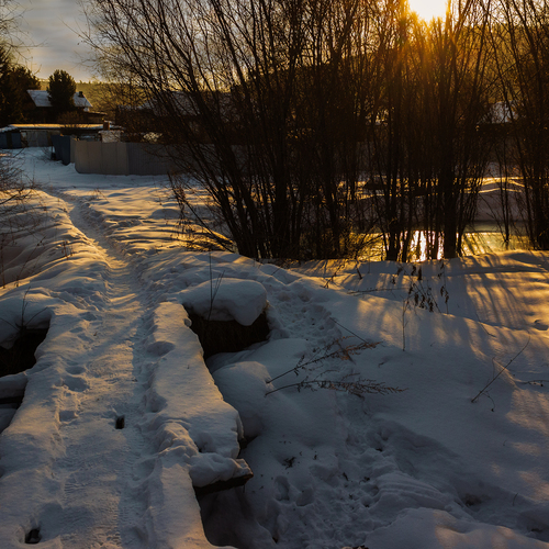 Photo #14233333