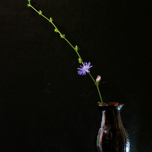 Photo #14233760