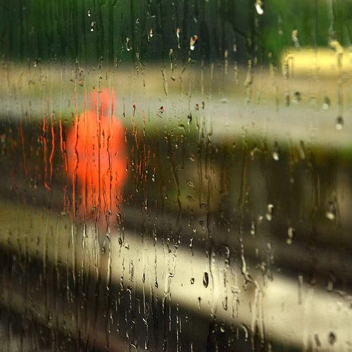 Photo #14233838