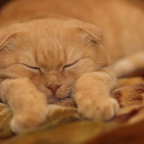Photo #14233939