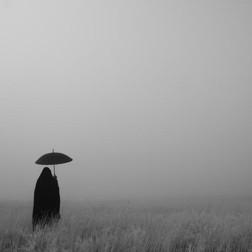 Photo #14234040
