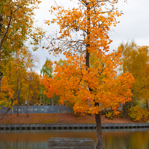 Photo #14234079