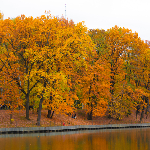 Photo #14234083