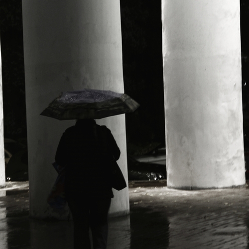 Photo #14234268