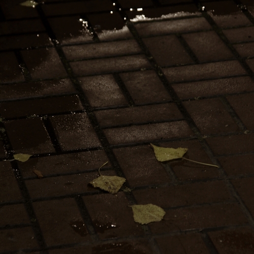Photo #14234270