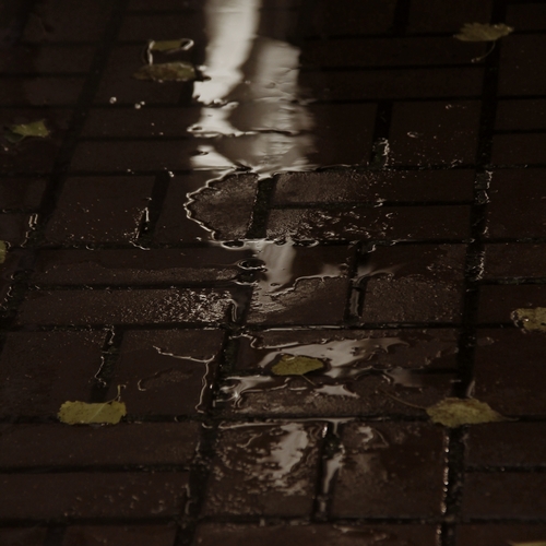 Photo #14234272