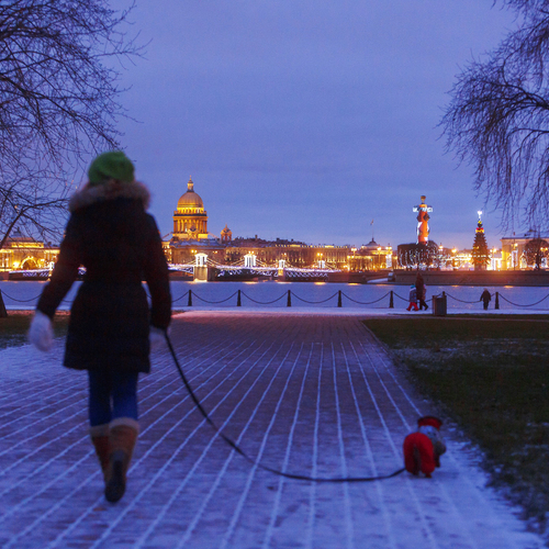 Photo #14234338