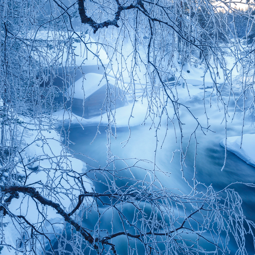 Photo #14234365