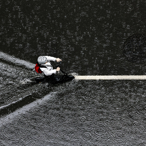 Photo #14234417