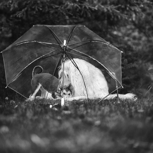 Photo #14234444