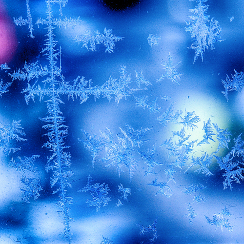 Photo #14234512