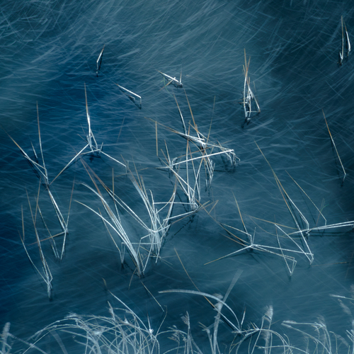 Photo #14234604