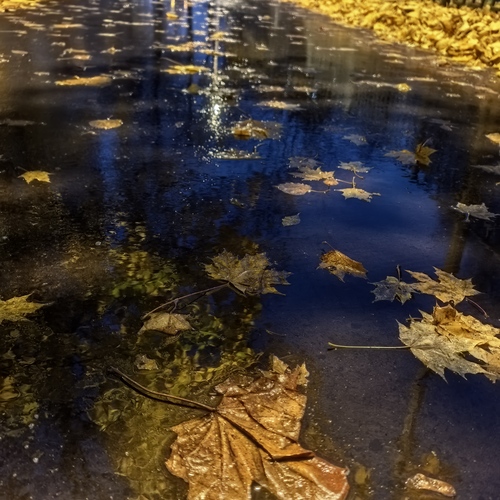 Photo #14234716