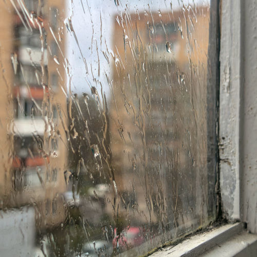 Photo #14234731