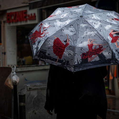 Photo #14234760