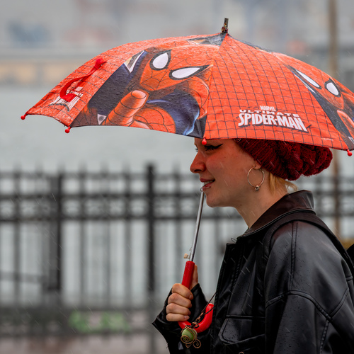 Photo #14234782