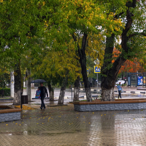 Дождливый день