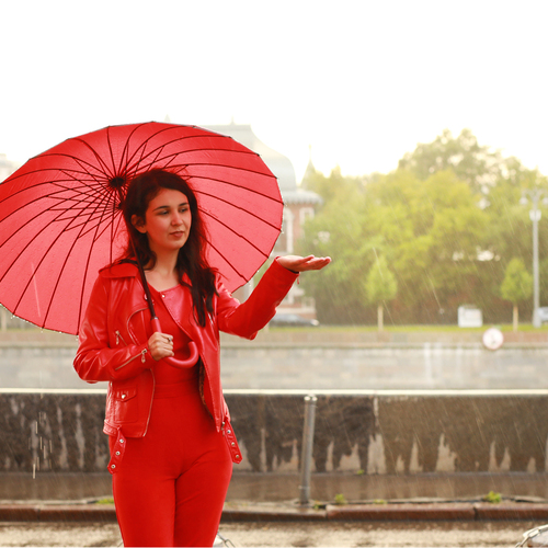 Photo #14234839