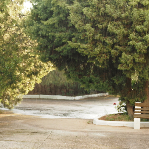 Photo #14235054