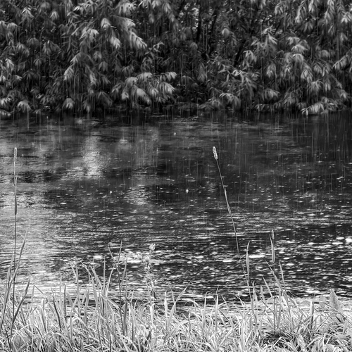Photo #14235067