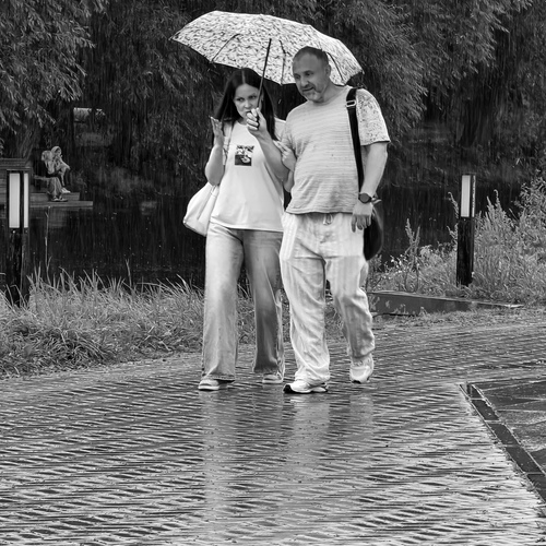 Photo #14235073