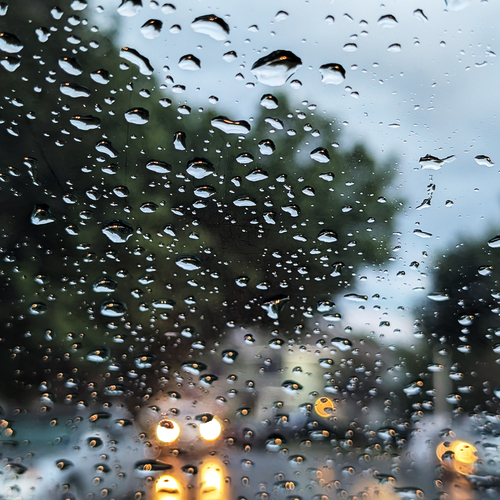 Photo #14235074