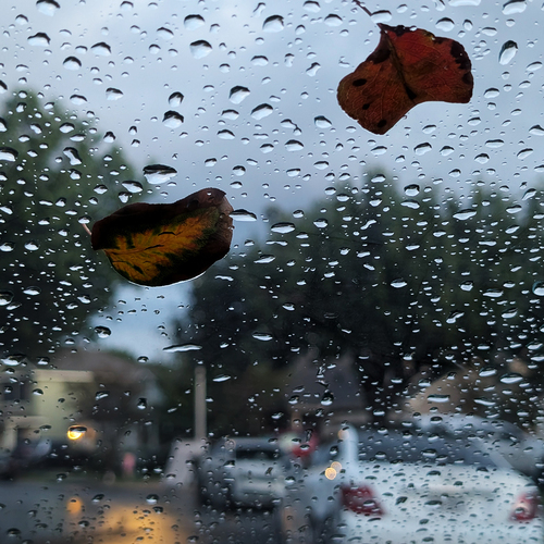 Photo #14235081