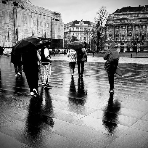 Photo #14235093