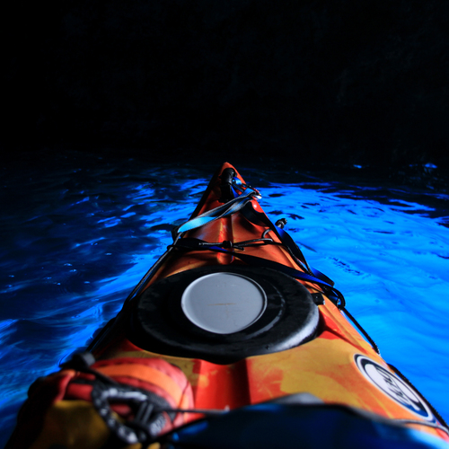 Photo #14235103