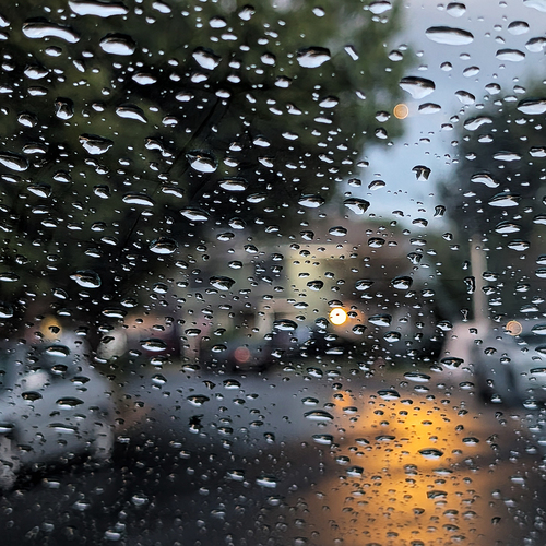 Photo #14235113