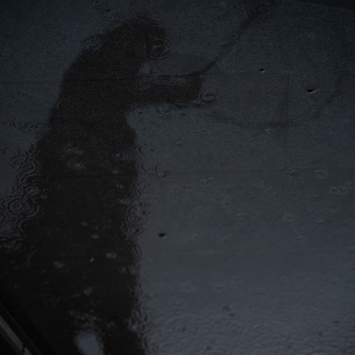 Photo #14235179