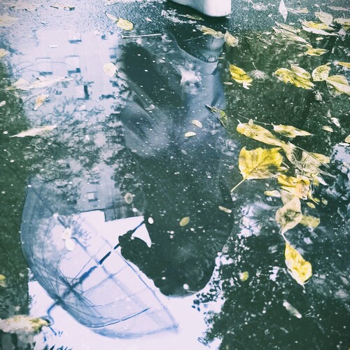Photo #14235221