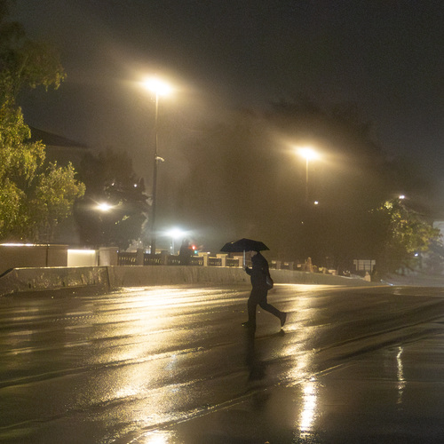 Photo #14235323