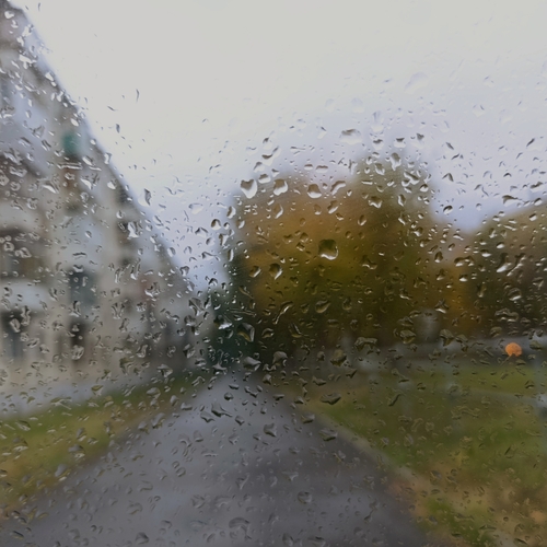 Photo #14235379