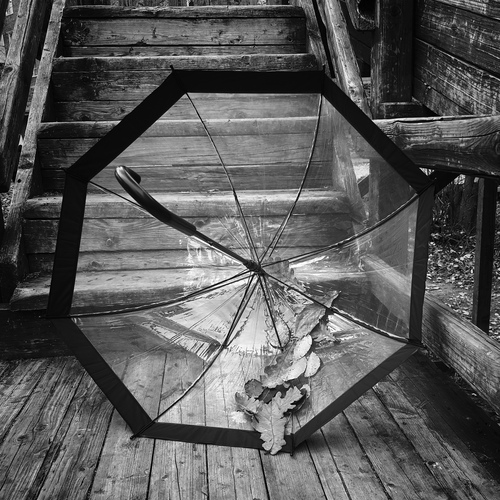 Photo #14235389