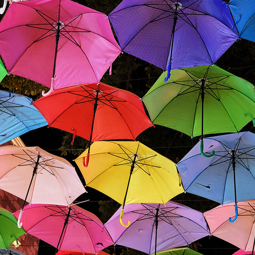 Photo #14235397
