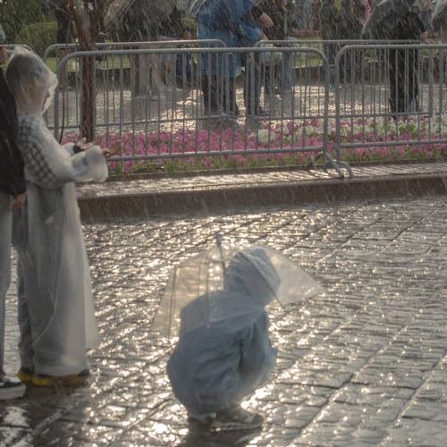 Photo #14235461